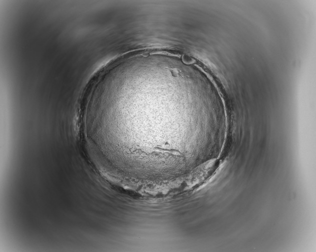 X0000093431163200710261013