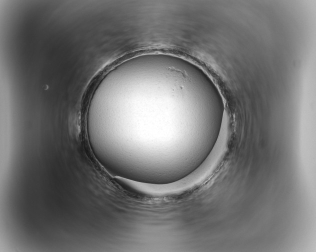 X0000093431165200710261013