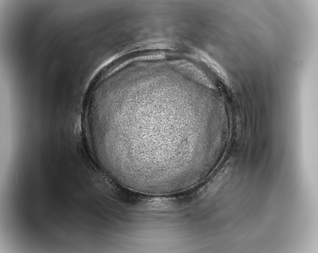 X0000093431166200710261013