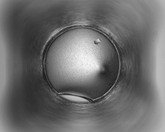 X0000093431168200710261013