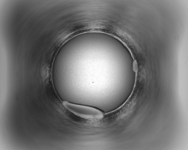 X0000093431169200710261013