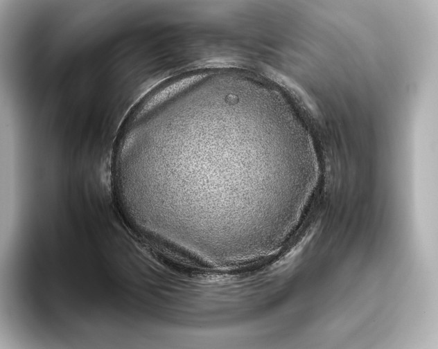 X0000093431170200710261013