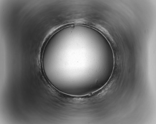 X0000093431176200710261013