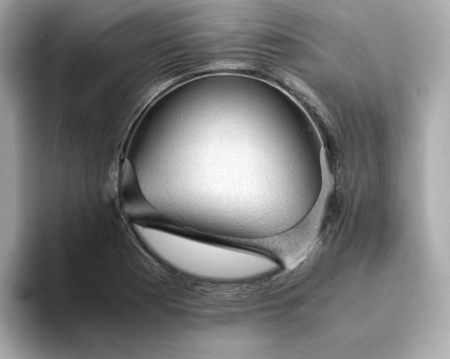 X0000093431177200710261013