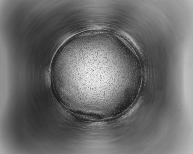 X0000093431178200710261013