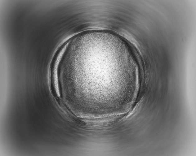 X0000093431179200710261013