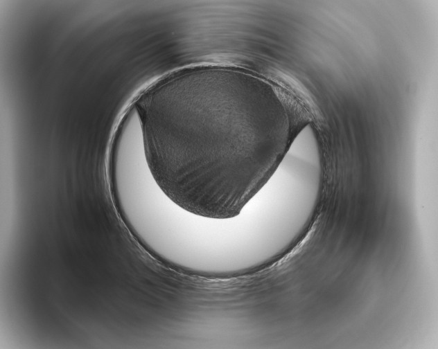 X0000093431180200710261013