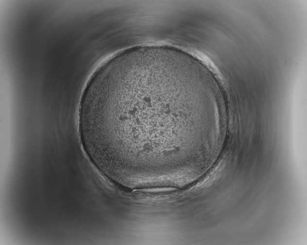 X0000093431183200710261013