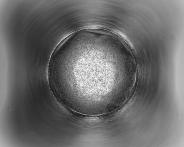 X0000093431186200710261013