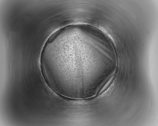 X0000093431189200710261013