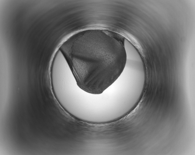 X0000093431192200710261013