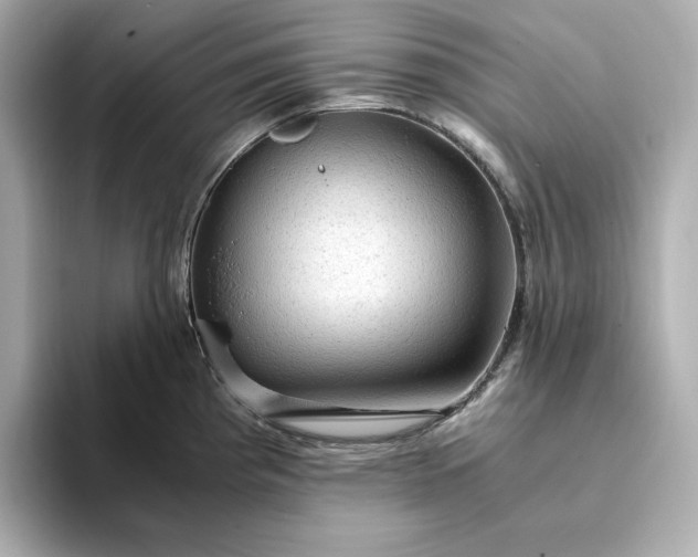 X0000093431193200710261013