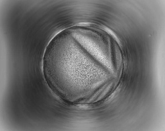 X0000093431194200710261013