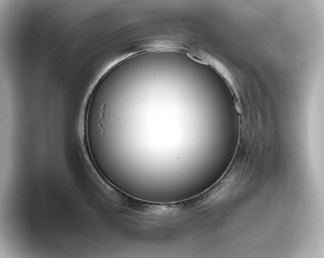 X0000093431195200710261013