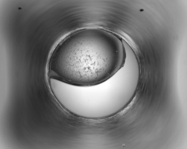 X0000093431196200710261013