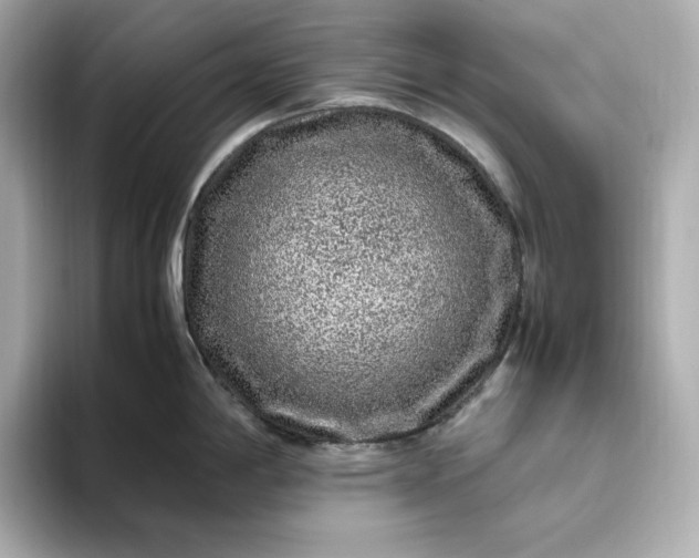 X0000093431198200710261013