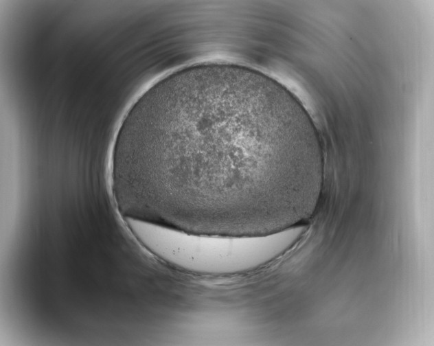 X0000093431199200710261013