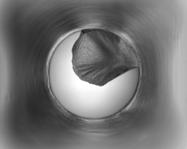 X0000093431200200710261013