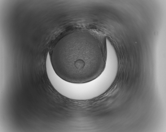 X0000093431202200710261012