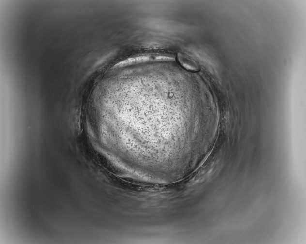 X0000093431205200710261012