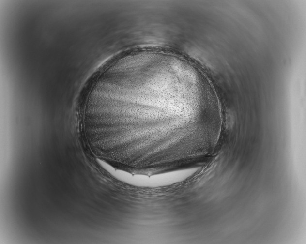 X0000093431208200710261012