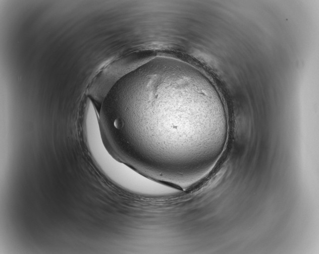 X0000093431210200710261012