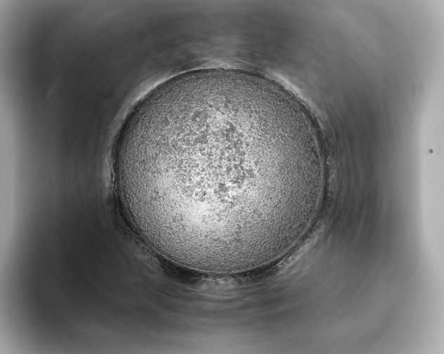 X0000093431215200710261012