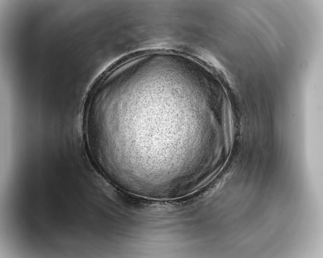 X0000093431216200710261013