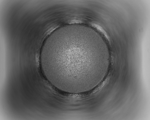 X0000093431217200710261013