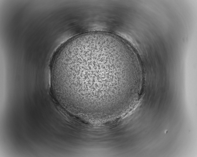 X0000093431219200710261013