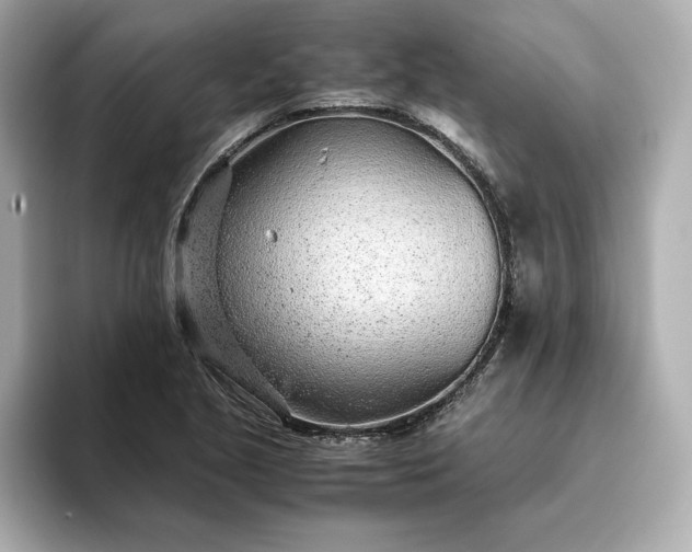 X0000093431221200710261013