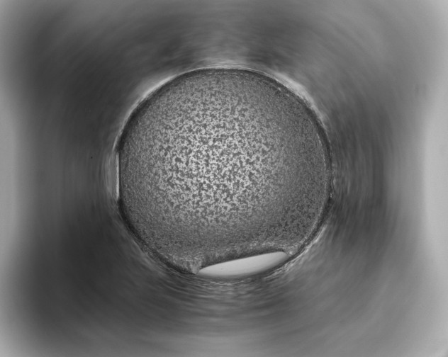 X0000093431223200710261013