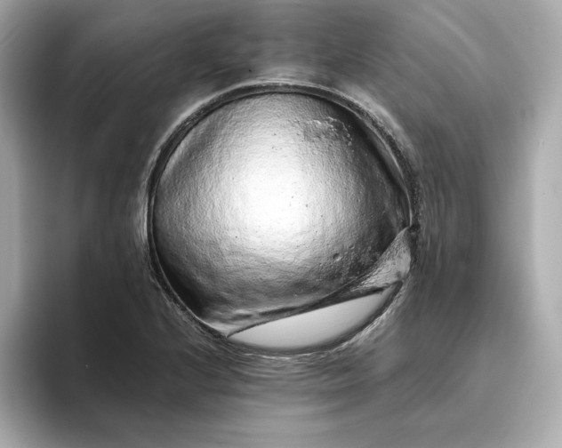 X0000093431224200710261013