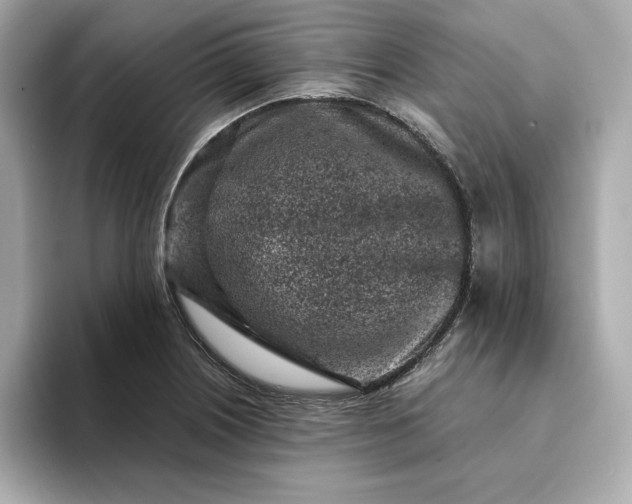 X0000093431226200710261013