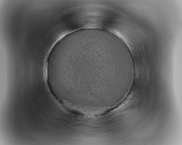 X0000093431227200710261013