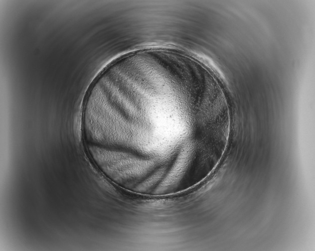 X0000093431228200710261013