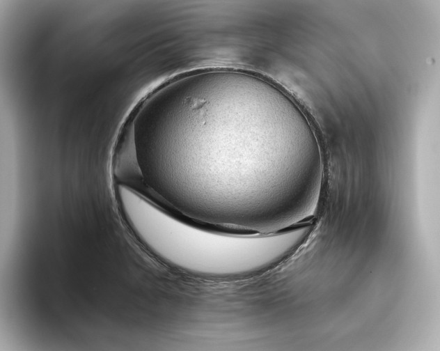 X0000093431230200710261013