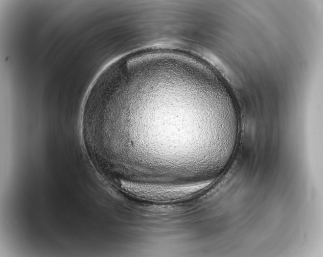 X0000093431232200710261013