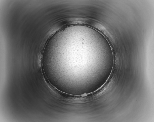 X0000093431233200710261013