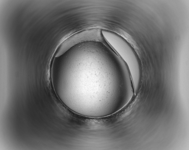 X0000093431234200710261013