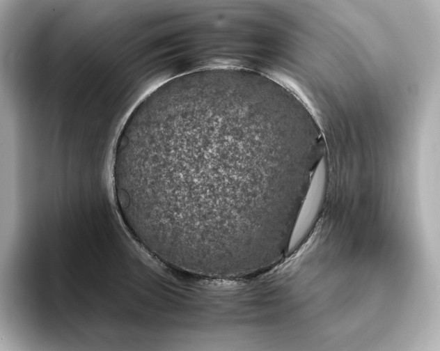 X0000093431235200710261013