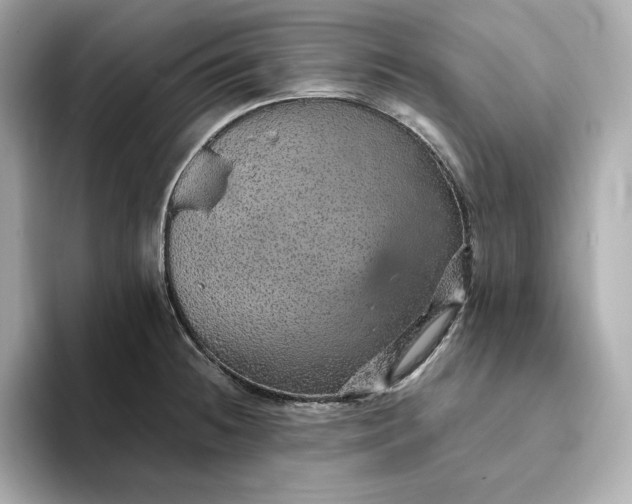 X0000093431236200710261013