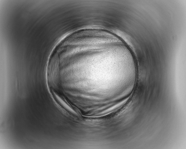 X0000093431237200710261013