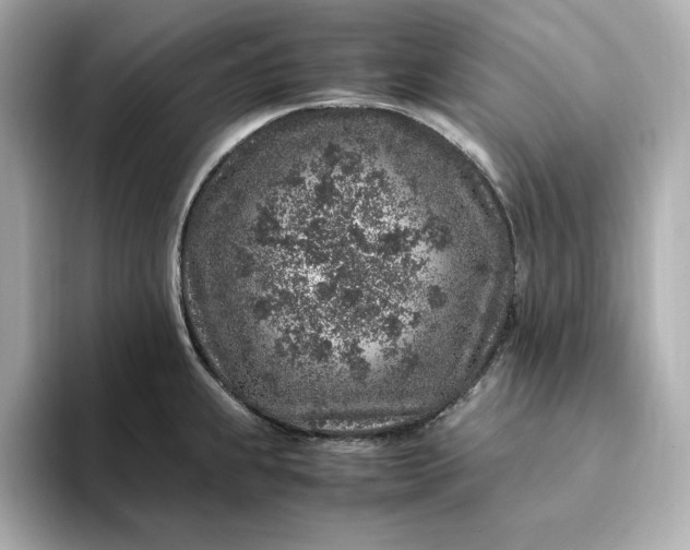 X0000093431239200710261013