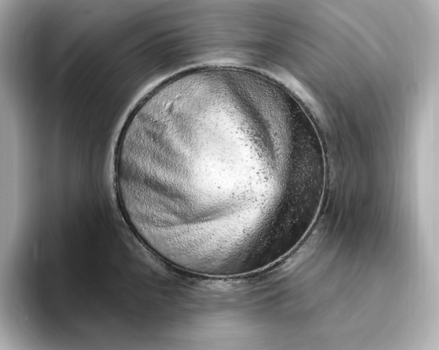 X0000093431240200710261013