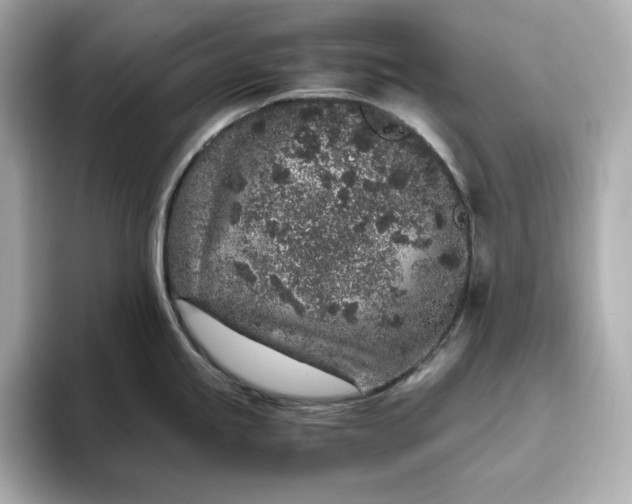 X0000093431245200710261013