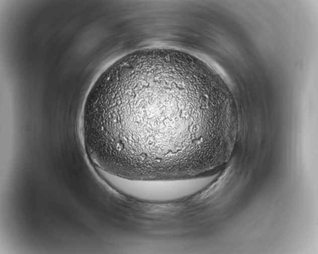 X0000093431247200710261013