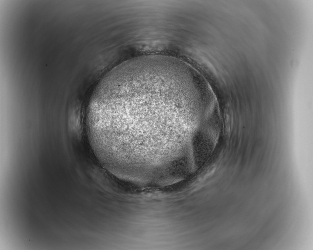 X0000093431250200710261012