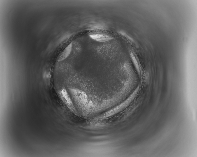 X0000093431254200710261012