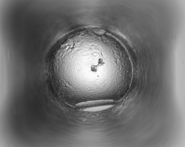 X0000093431255200710261012